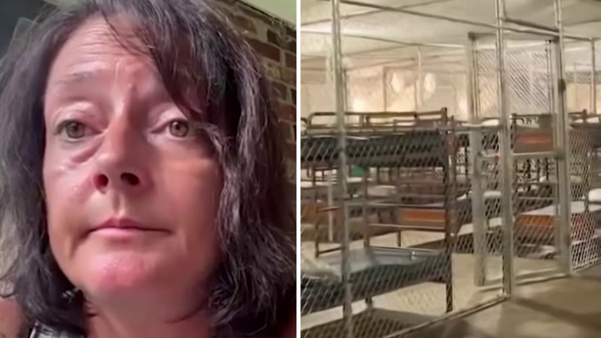 Former ‘Alligator Alcatraz’ worker describes ‘inhumane’ conditions ...