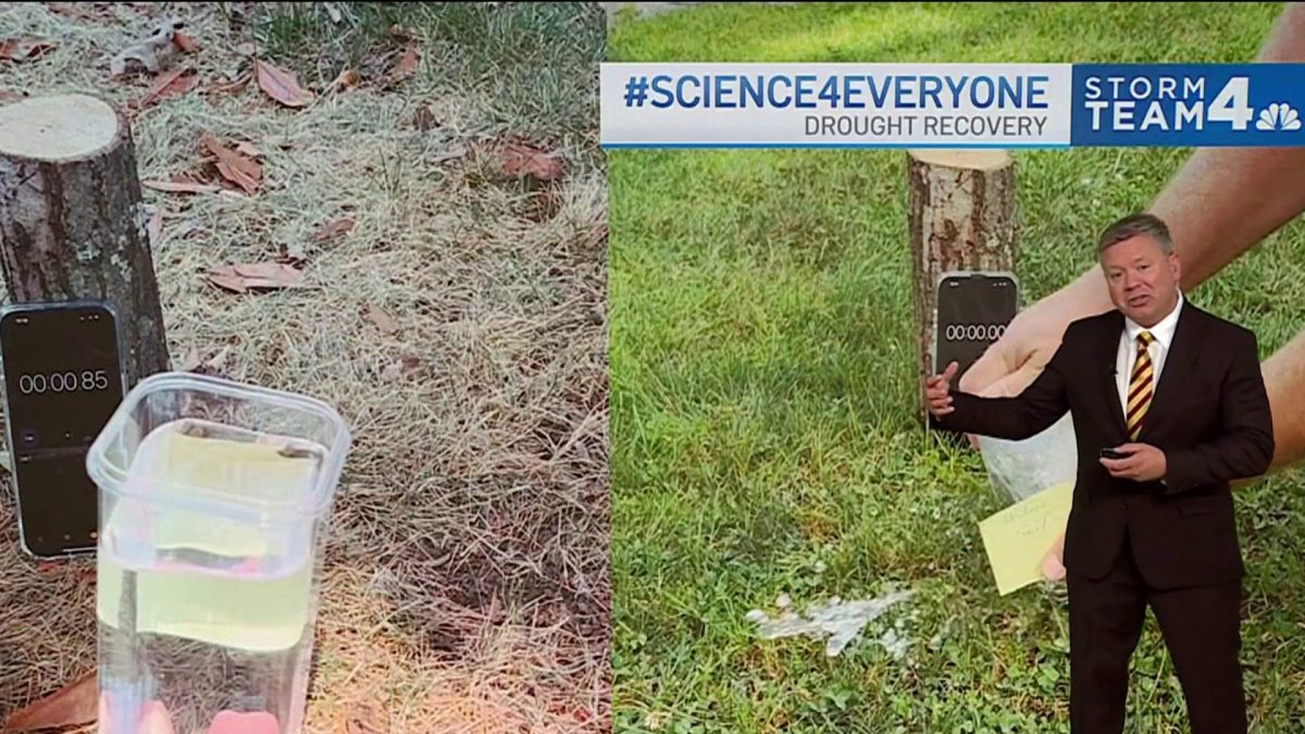 Comparing how a wet versus dry yard soaks up water – NBC4 Washington