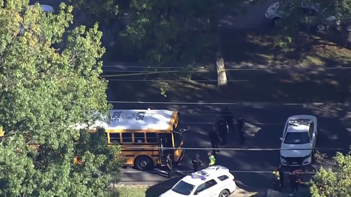Girl, 11, killed in school bus collision: The News4 Rundown – NBC4 ...
