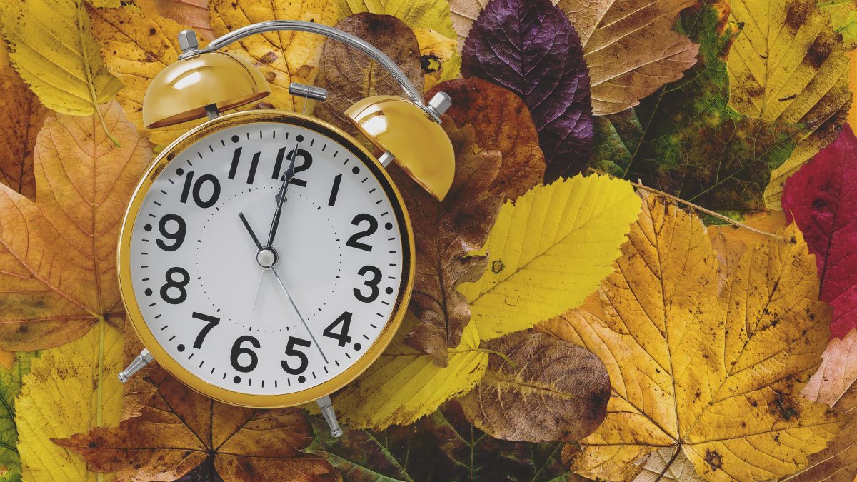 Daylight saving time: When do clocks turn back in 2025? – NBC4 Washington