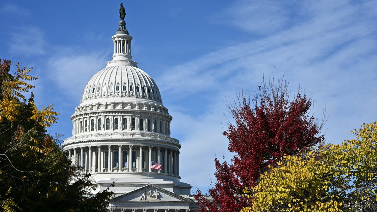 The government shutdown stretched into its 40th day even as senators held a weekend session in hopes of finding an end to the impasse that has disrupted flights...