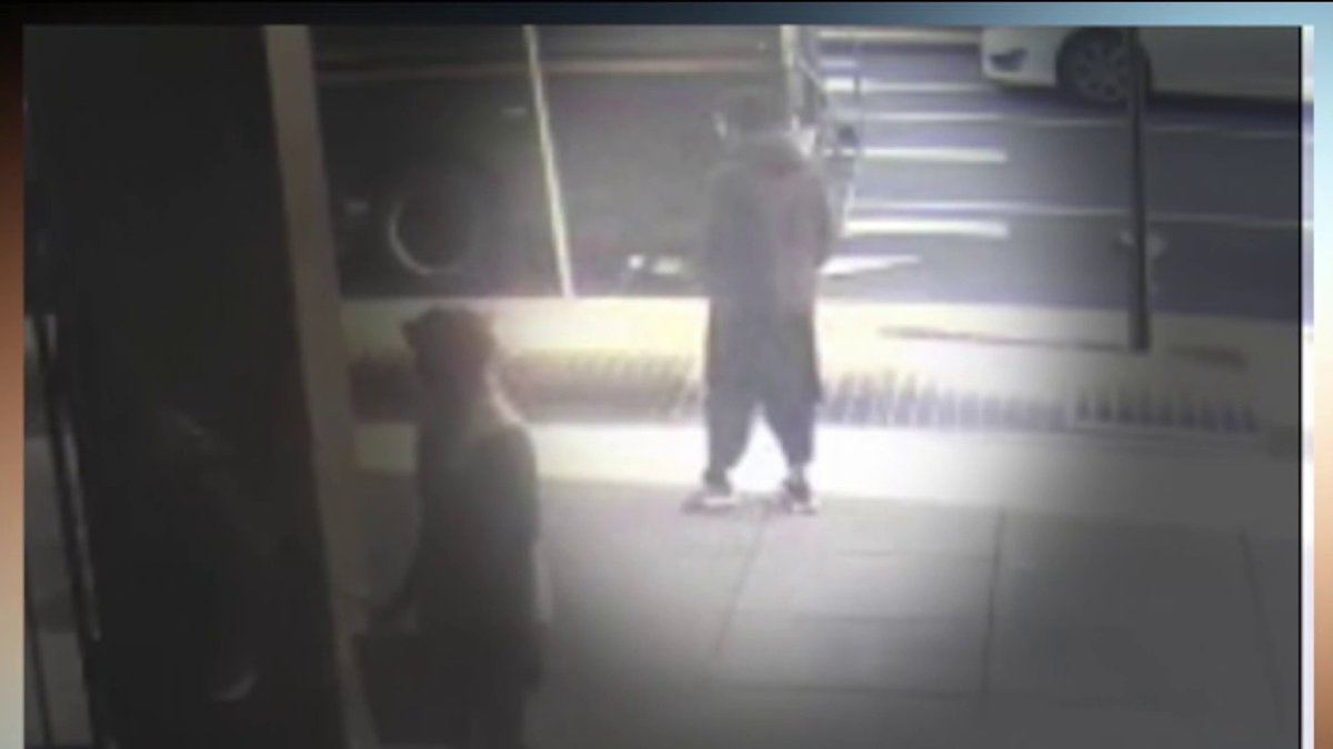 National Guard shooting suspect pleads not guilty as court documents ...