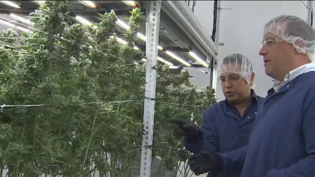 Lawmakers look at bringing recreational cannabis shops to Virginia