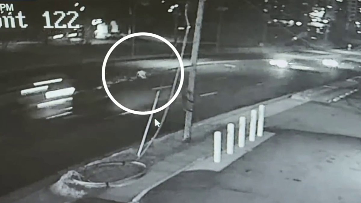 Pedestrian struck and killed by several cars in Fairfax County – NBC4 ...