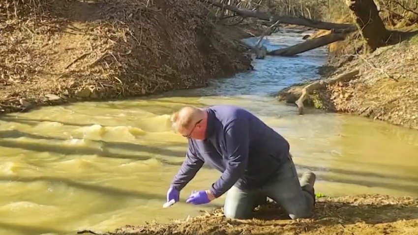 elfbar nachfüll pod läuft aus Concentré Bahia Pai Pai - High Creek