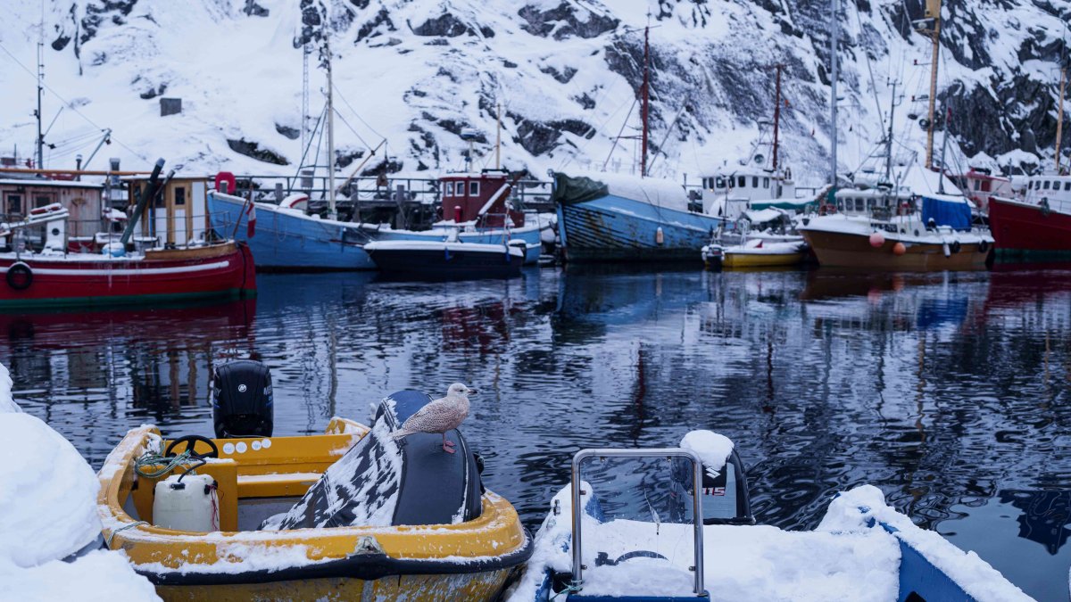 Greenland's future on the line at key meeting with Trump officials