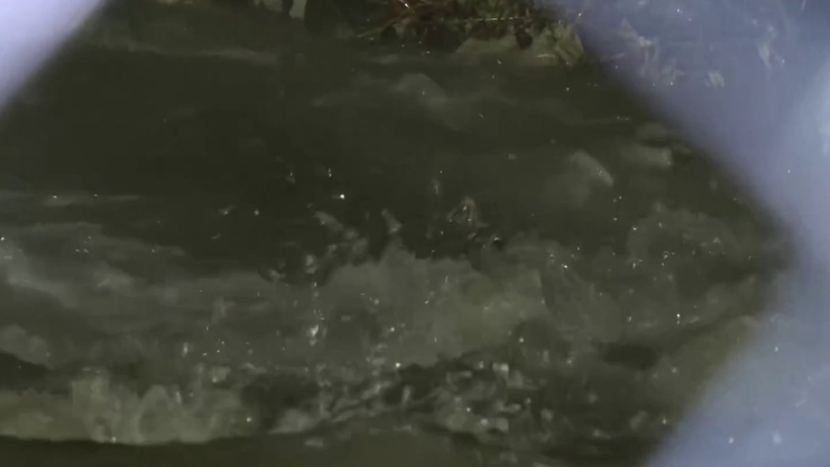 Sewage overflow causes traffic delays near Clara Barton Parkway in Montgomery County