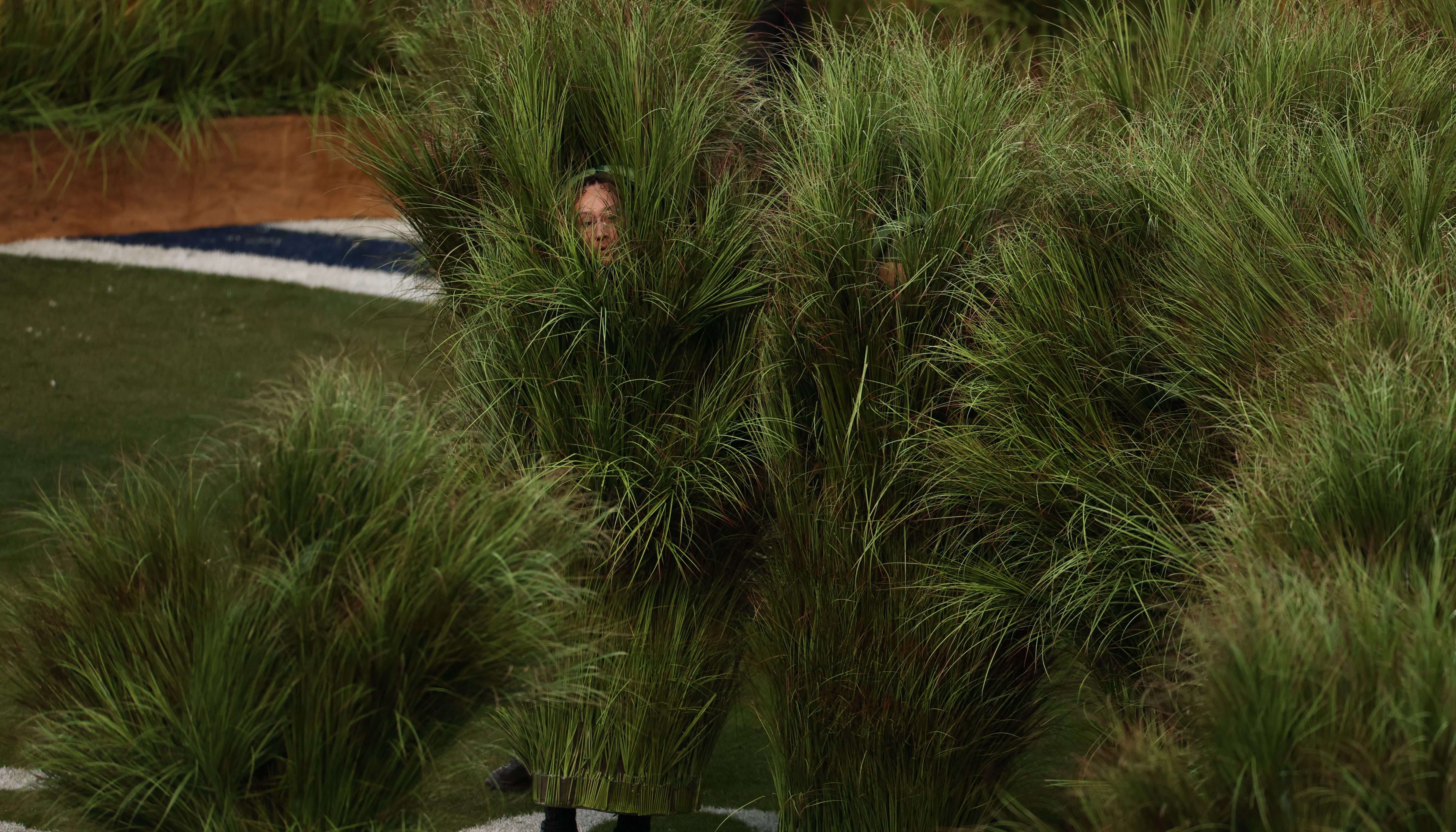 What it was like to be a bush at Bad Bunny’s Super Bowl performance ...