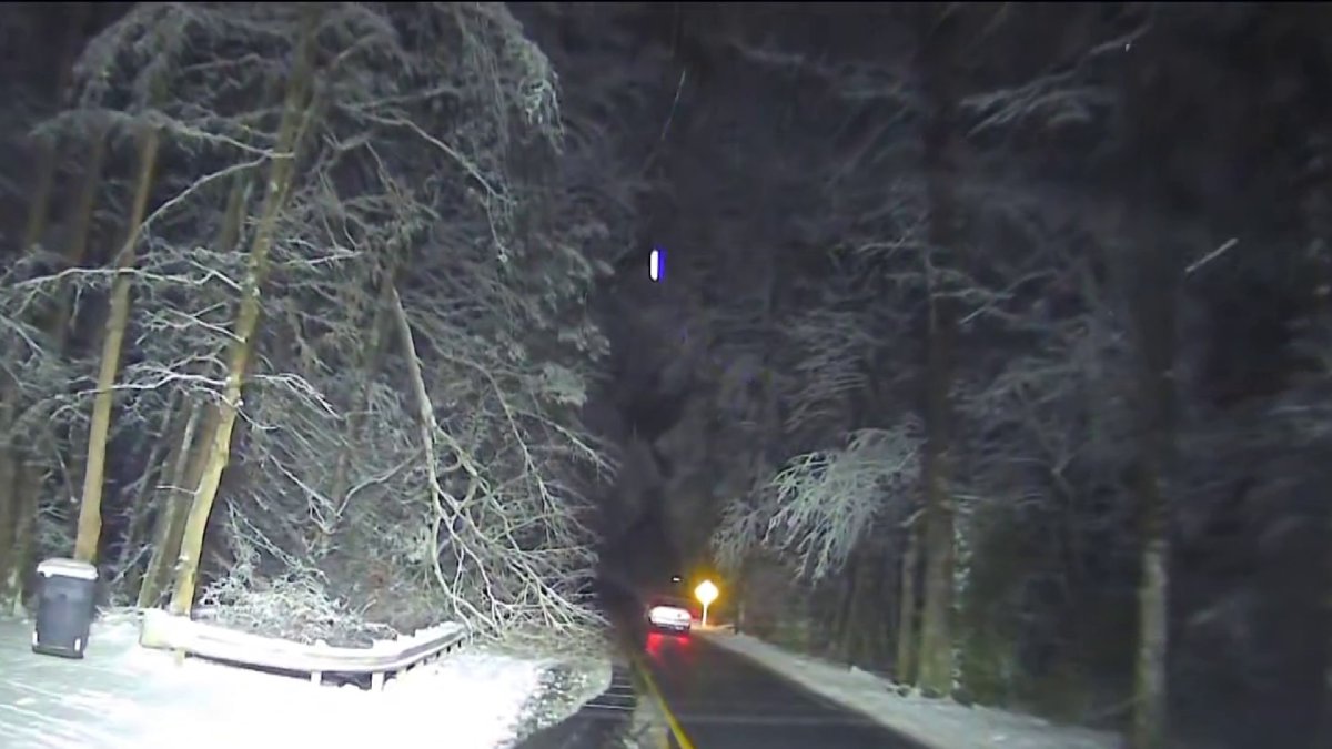 Track the latest snowstorm forecast and effects on schools Monday, Feb. 23, 2026.