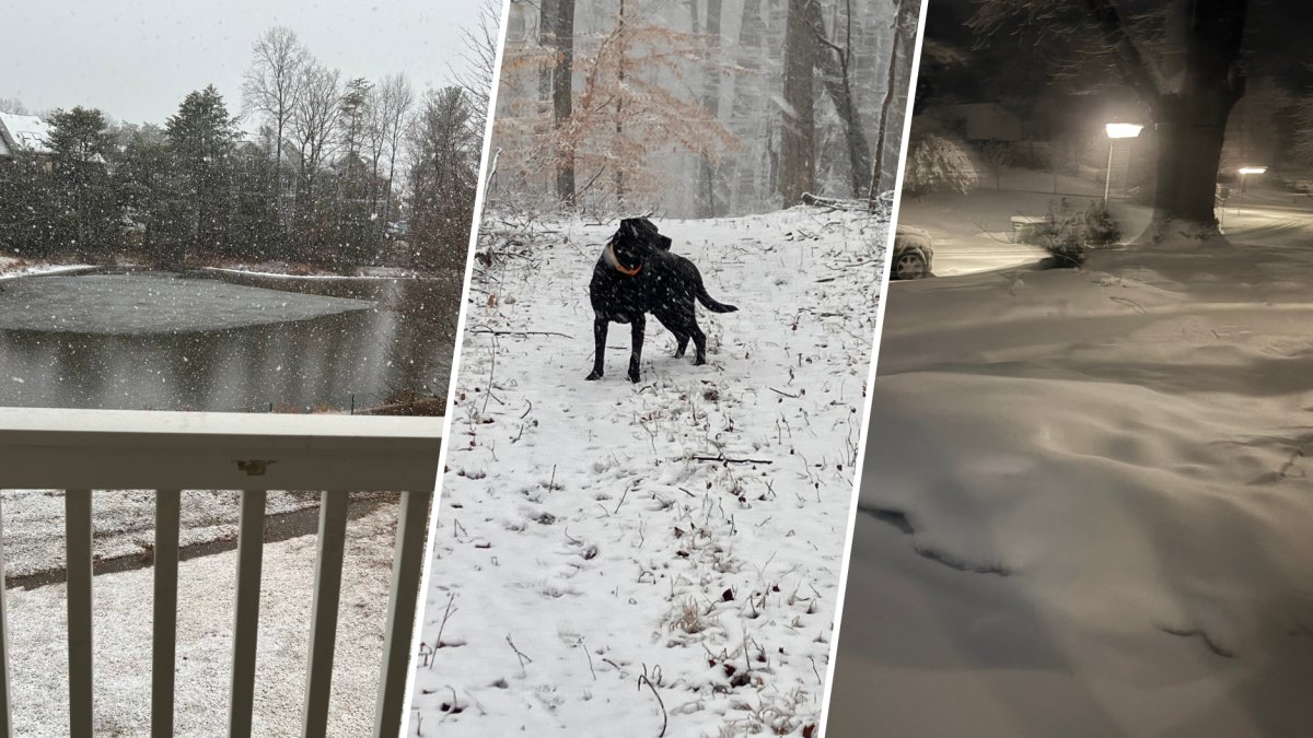 Track the latest snowstorm forecast and effects on schools Monday, Feb. 23, 2026.