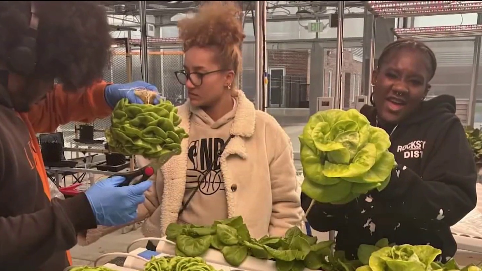 nbcwashington.com - Get fresh food and farming lessons at DC high school farmers market