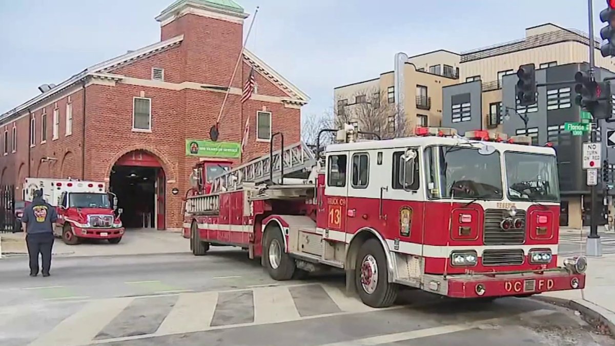Robust early voting turnout for Virginia redistricting referendum