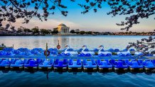 Tidal Basin Paddle Boats with Jefferson Memorial - Washington DC