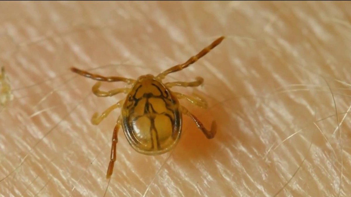 New tool aims to combat tick-borne diseases in Virginia