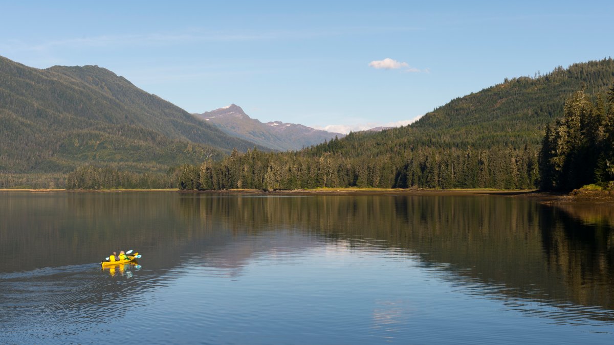 Trump plans to move Forest Service HQ from DC to Utah and shutter research sites