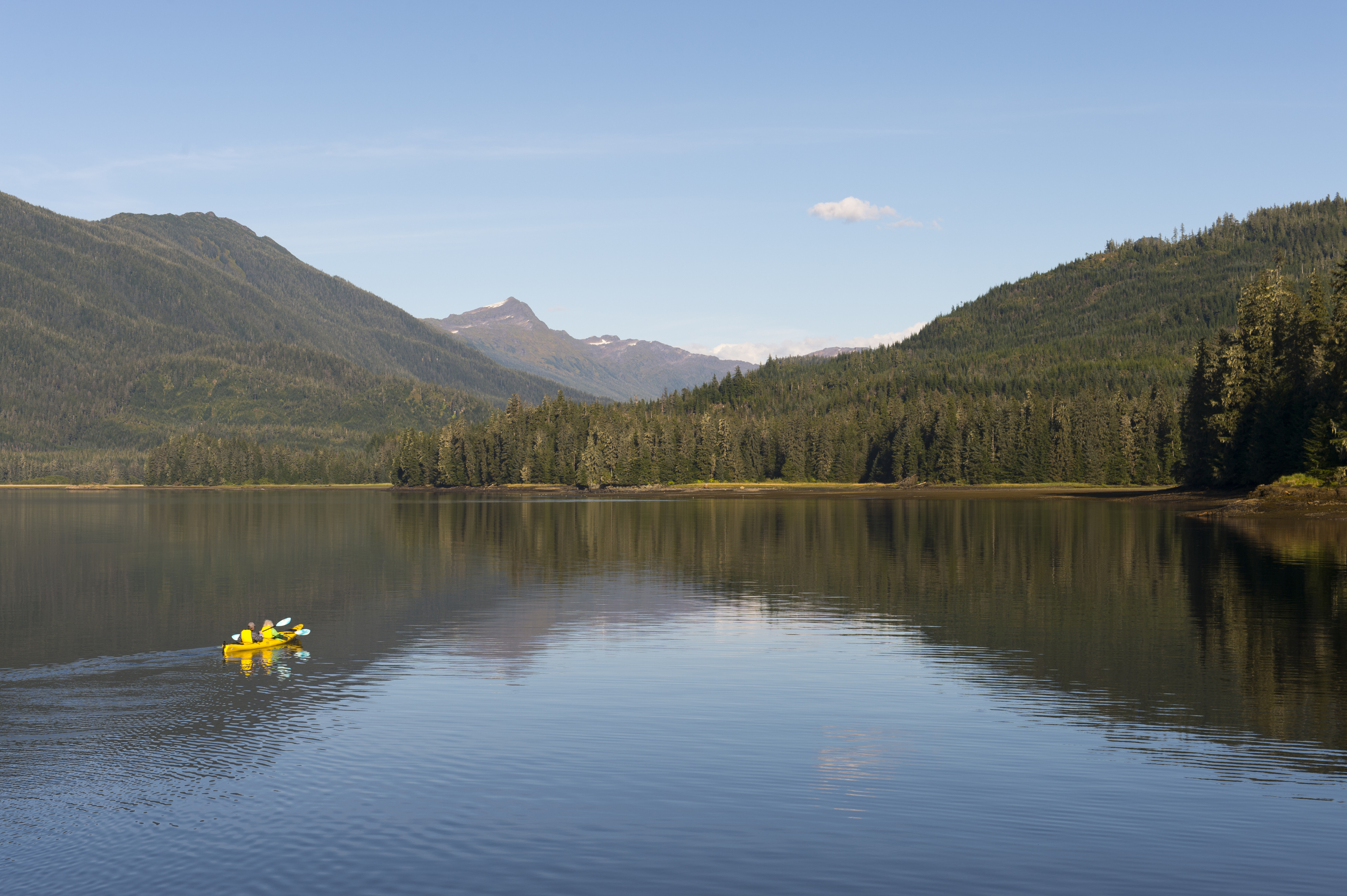 Trump plans to move Forest Service HQ from DC to Utah and shutter research sites