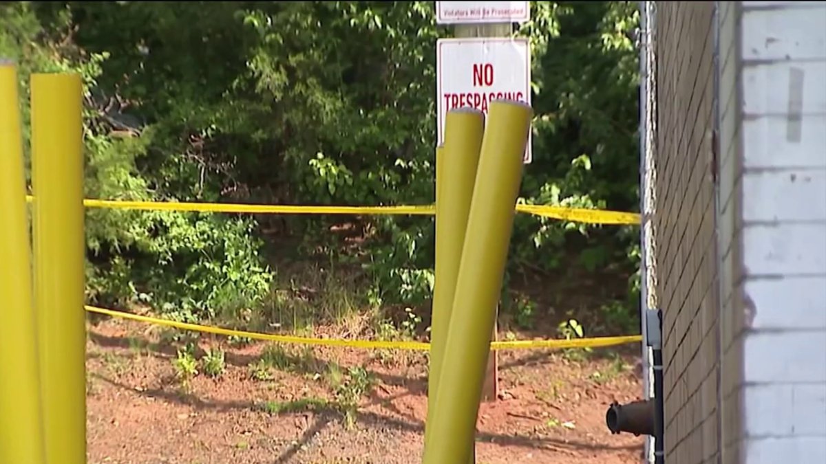 william, prince de galles