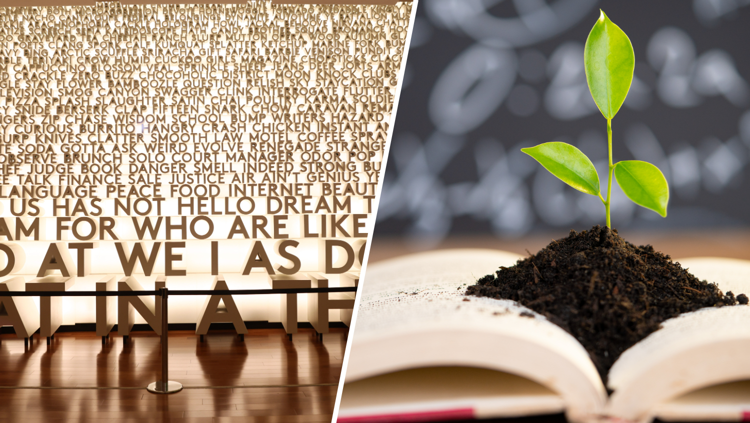 April is the 30th National Poetry Month. Here's how you can celebrate around DC