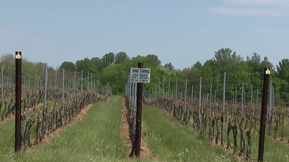 Gov. Moore seeks disaster relief for farmers hit by April cold snap