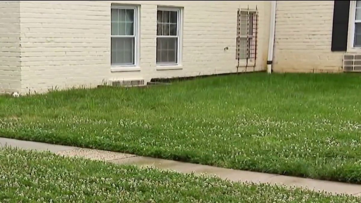 Teen found stabbed to death in Huntington – NBC4 Washington