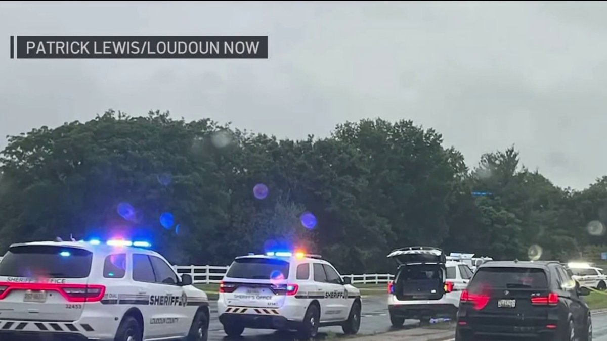 Woman found bleeding in Ashburn road was driven away by partner, witness says