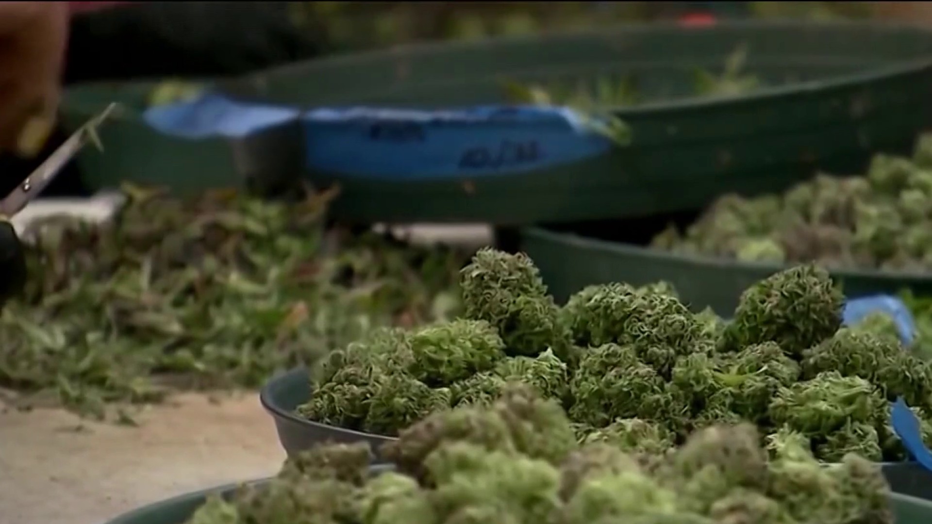 nbcwashington.com - Recreational marijuana deal struck in Virginia amid budget battle