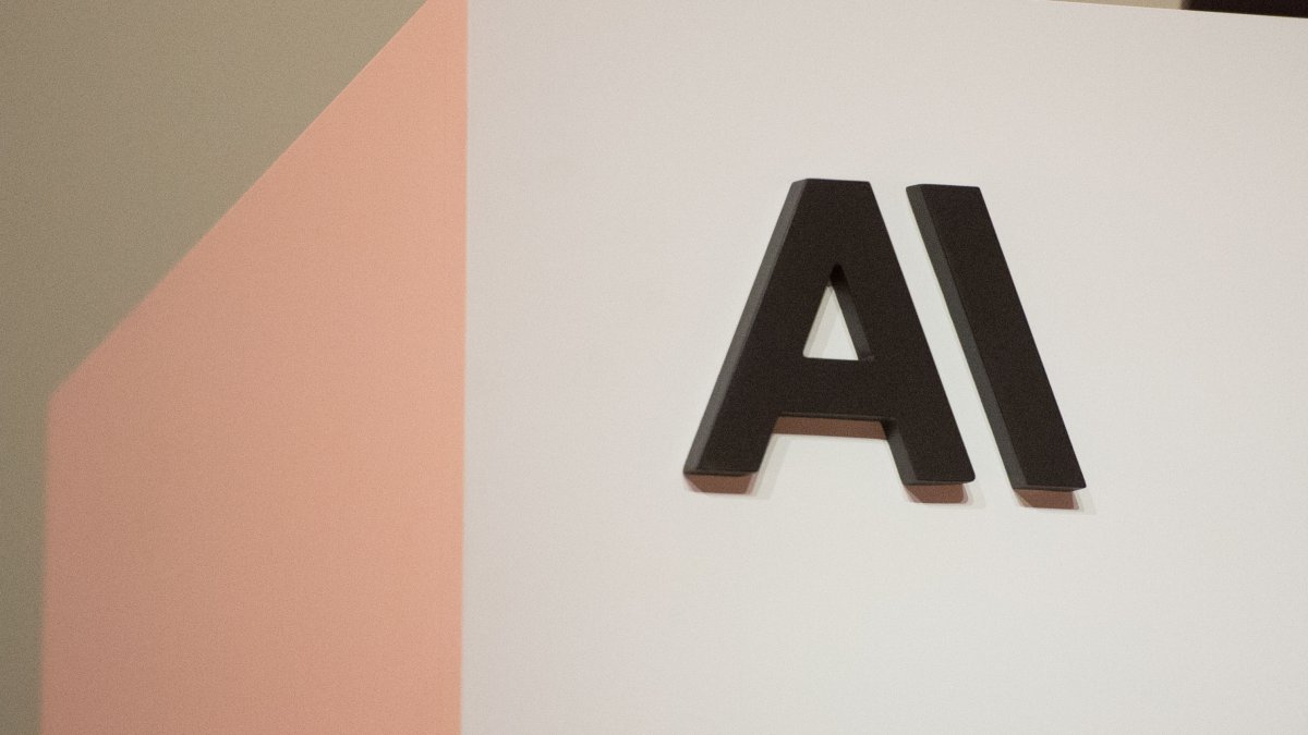 Anthropic suspends new AI models after government directive