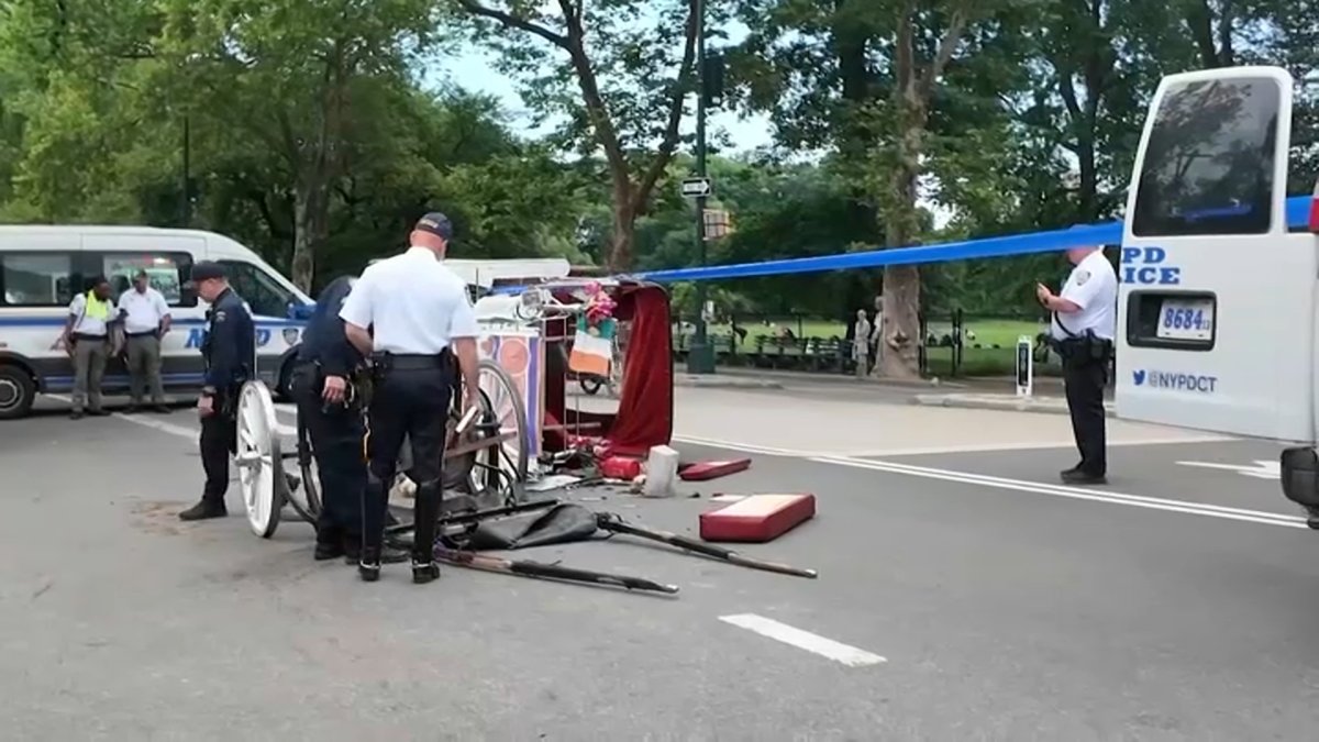Central Park halted carriage rides after a runaway horse incident and the debate is growing