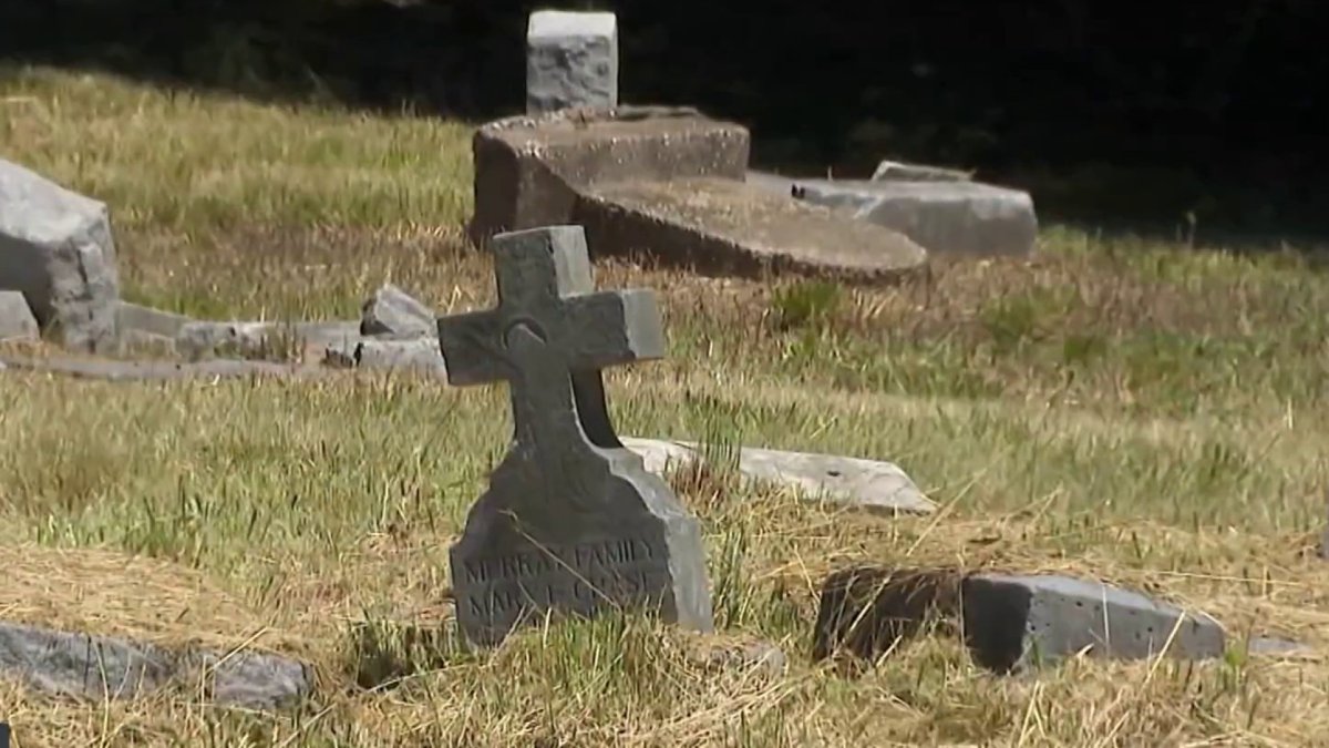 Inside Woodlawn Cemetery's mission to preserve history