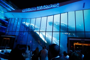 WASHINGTON, DC - JUNE 16: A view of a light show during the unveiling of National Geographic Museum of Exploration on June 16, 2026 in Washington, DC. (Photo by Paul Morigi/Getty Images for National Geographic)