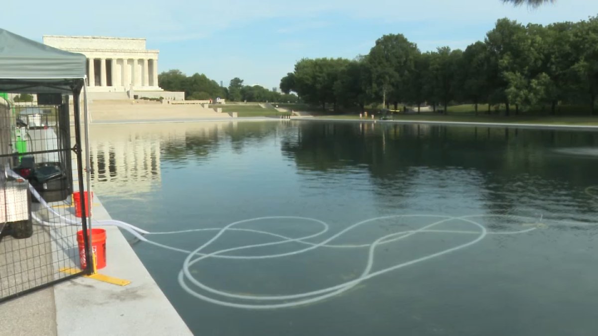 At least five people arrested in alleged tampering of Reflecting Pool, official says