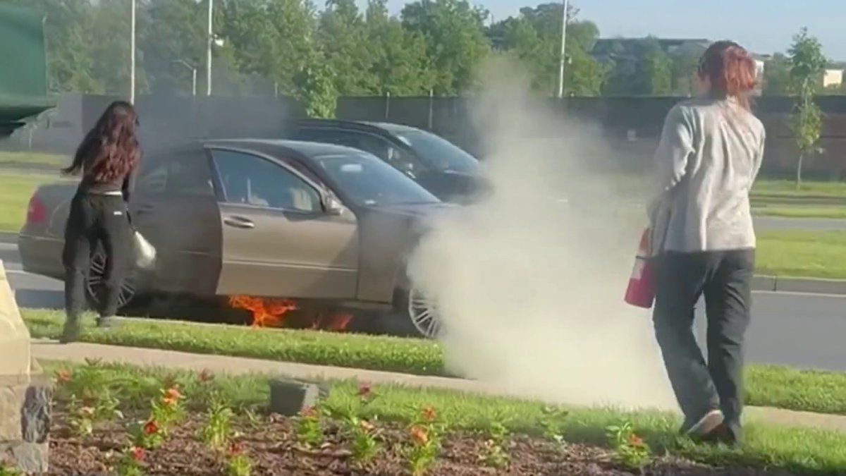 Dauntless veterinary workers race to save woman from burning car