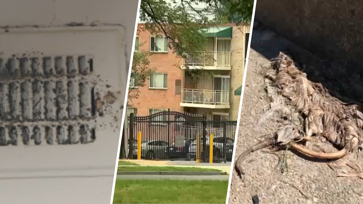 Once a DC ‘gem,' residents show Fort Chaplin Park Apartments in disrepair