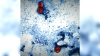 Cyclospora outbreak: Maryland, Virginia report parasite has sickened hundreds