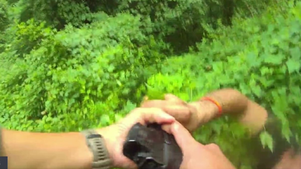 Fairfax County police shoot man who grabbed officer's gun