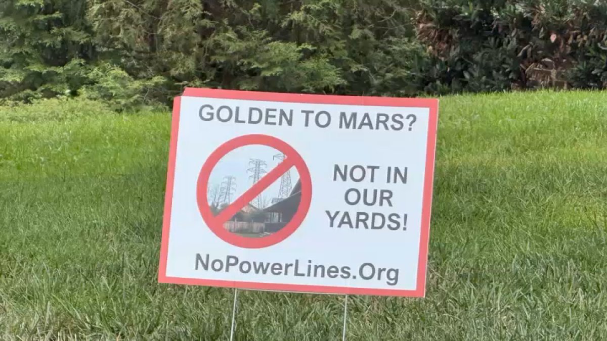 ‘We've been sacrificed': Homeowner may lose 1/3 of her property to high-voltage power line for data center