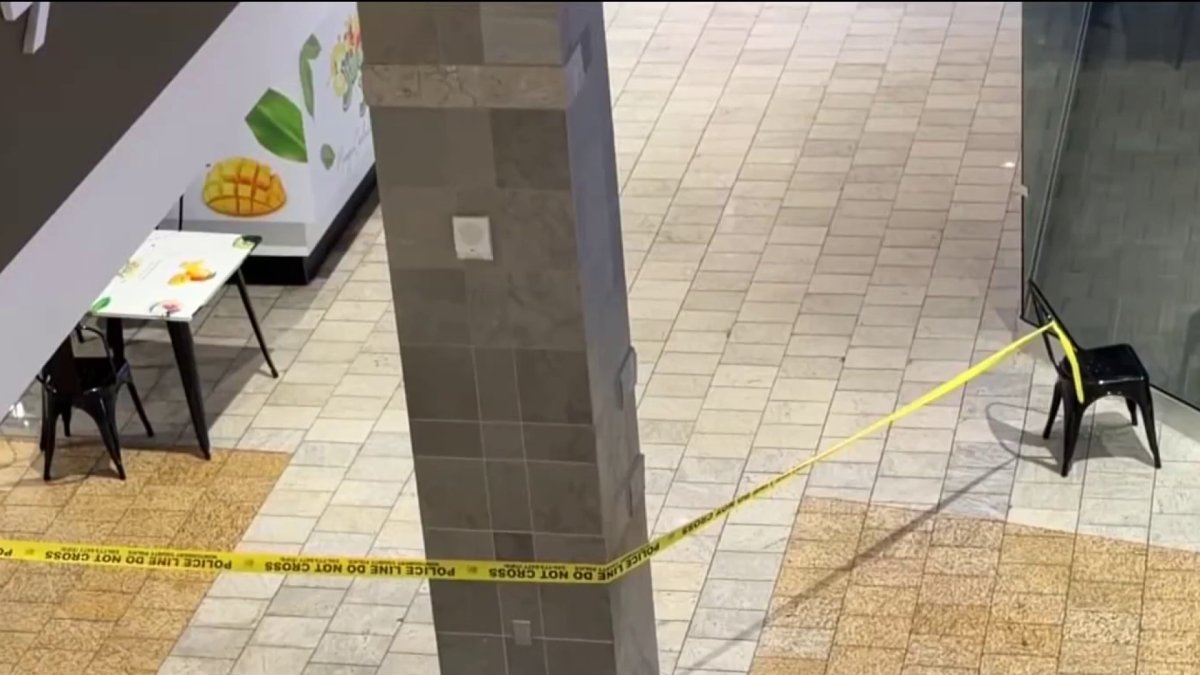 Teen with gun opens fire in Wheaton Mall, injures 13-year-old: Police