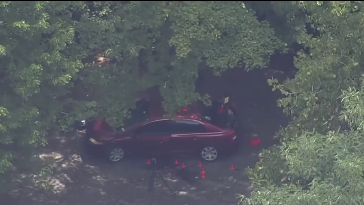 Woman found stabbed to death in McLean