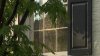 DC home invasion, attempted sex assault suspect also accused of trying to get in White House
