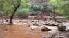 At least 1 dead, more than a dozen missing at Grand Canyon after extreme flash flooding