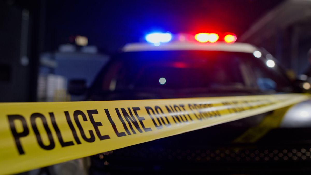 Police looking for additional people who fired guns in VSU shooting