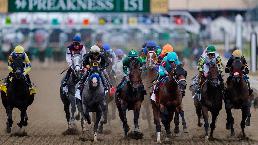 Taj Mahal #1, ridden by jockey Sheldon Russell, and Napoleon Solo #10, ridden by jockey Paco Lopez, lead the pack in the 151st Preakness Stakes at Laurel Park on May 16, 2026 in Laurel, Maryland. For the first and only time, Laurel Park is hosting the Preakness Stakes, the second race of the Triple Crown, as its traditional home at Pimlico Race Course undergoes complete renovations.