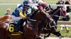 Preakness the only Triple Crown jewel left out of championship series