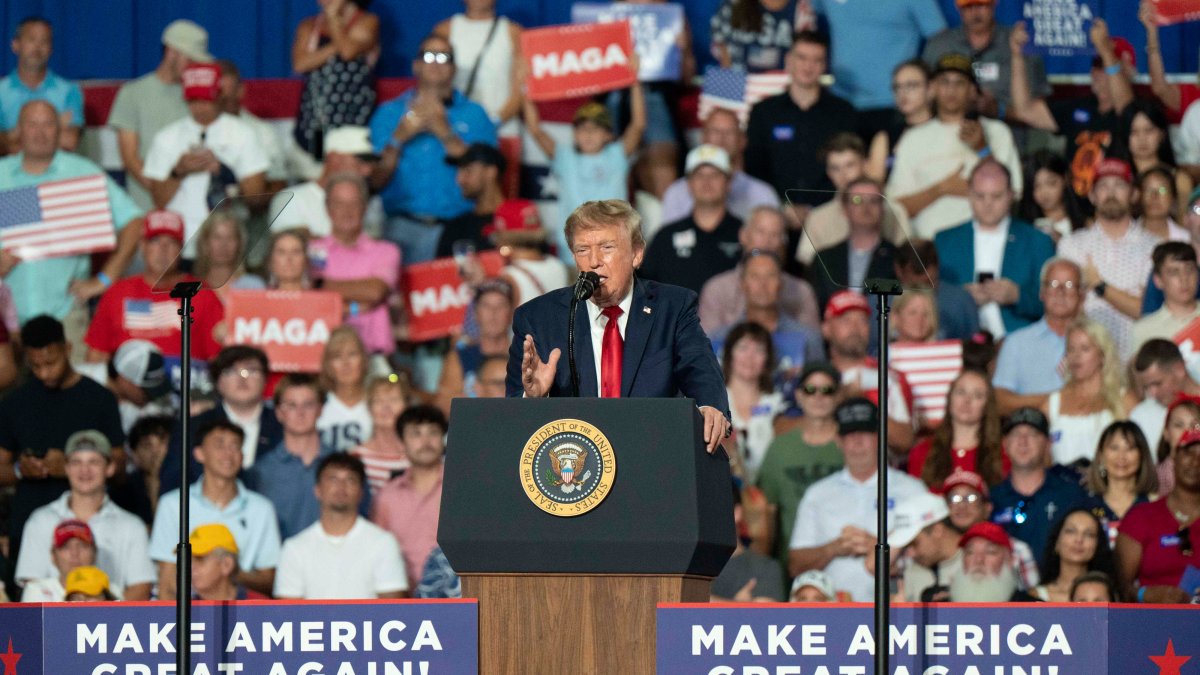 Trump tries new midterm message to supporters: ‘Pretend, please, that I'm on the ballo...