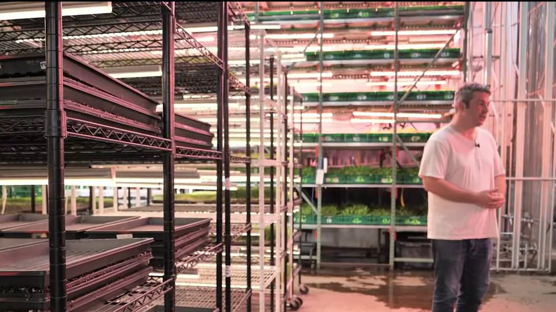 nbcwashington.com - Aimee Cho - 'Move the farm and not move the food': Indoor farming takes off in Arlington