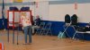Virginia Democrats pick their nominees to flip 2 US House seats in November