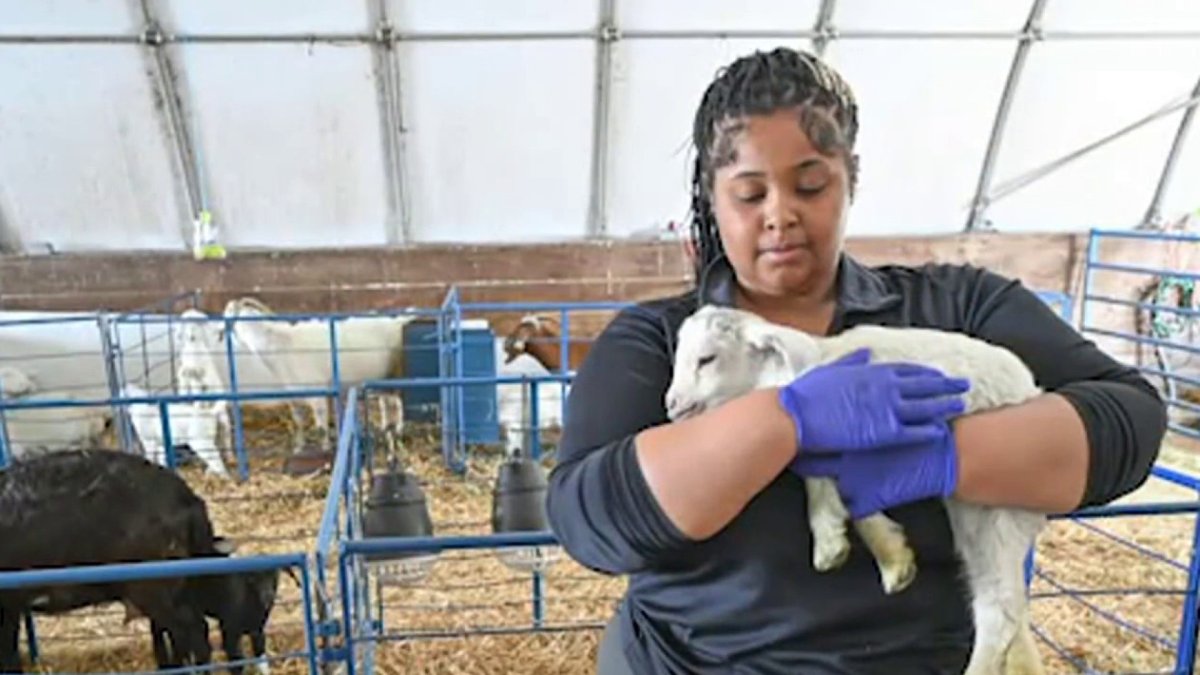 UMES could get Maryland its first vet school – NBC4 Washington