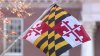 Maryland's top court allows Democratic-backed congressional redistricting measure on November ballot