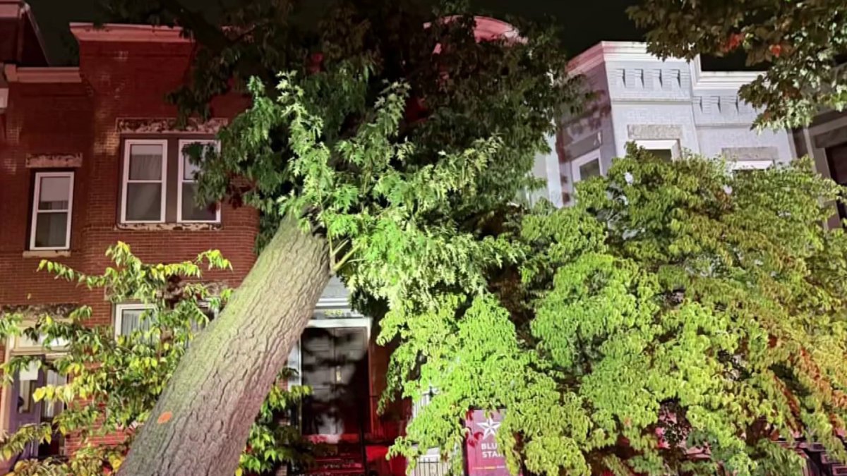 Recap: Prince George's schools closed after storms down trees and power lines in DC area