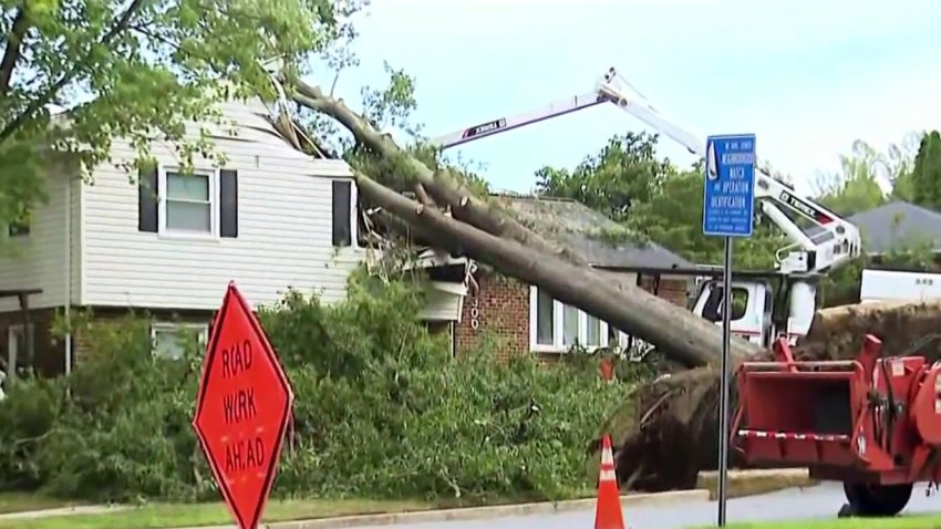 A tree fell on a house in Kettering, Maryland, trapping a boy in his bedroom.
